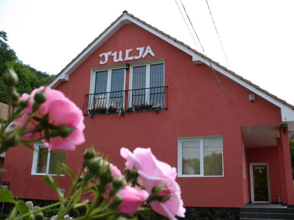 Julia 3*