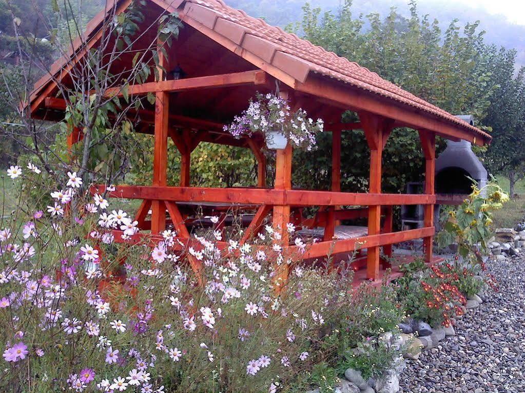 Julia Guest house Sighisoara