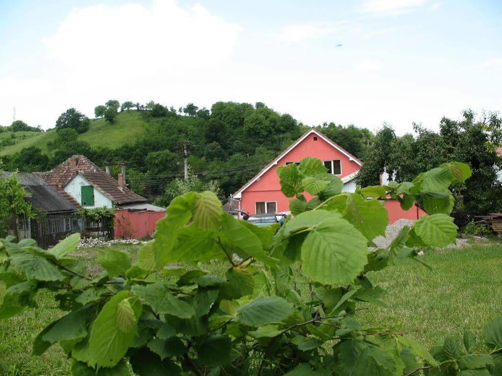 Julia Guest house